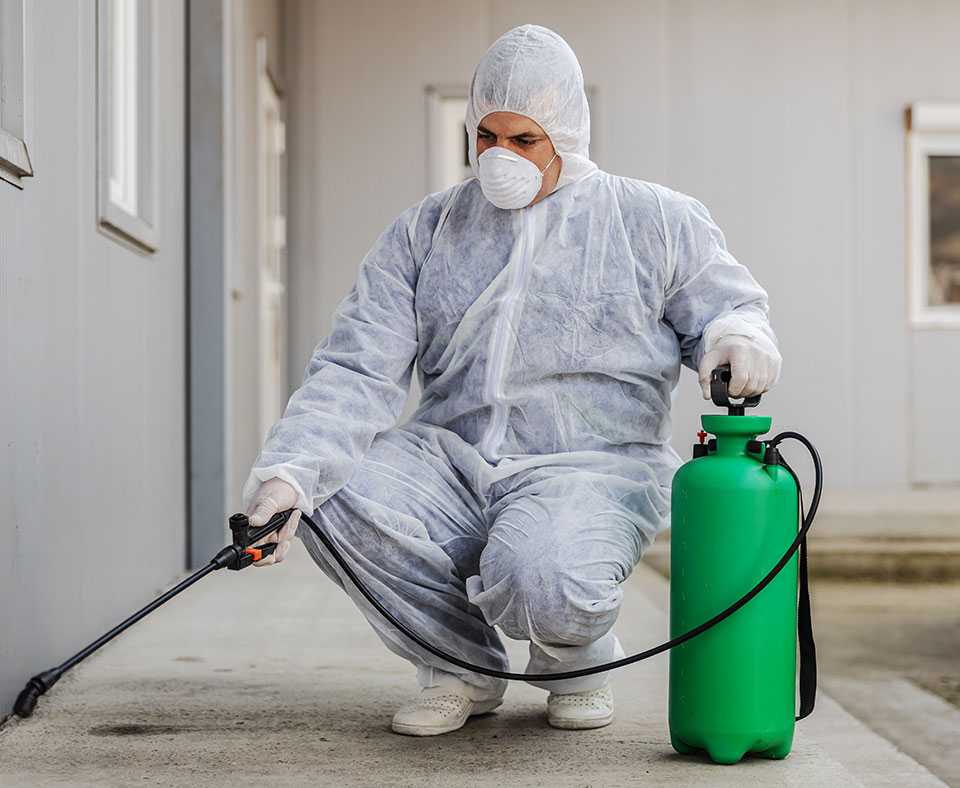 Bed Bug Removal Leicester