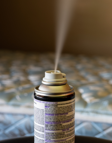 bed bug spray