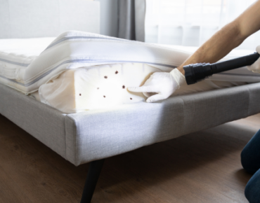 leicester Bed Bug control