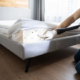 leicester Bed Bug control
